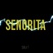 Senorita - Salv T lyrics