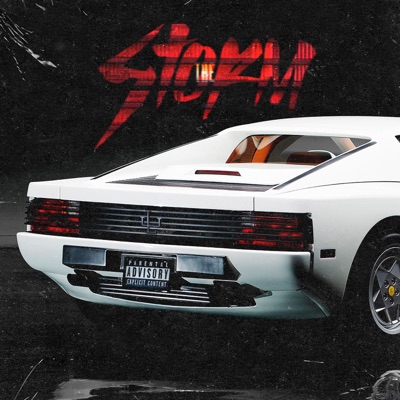 The Storm - Single