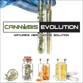Cannabis Evolution (Original Recording)