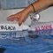 Bleach Blonde - Flamango Bay lyrics
