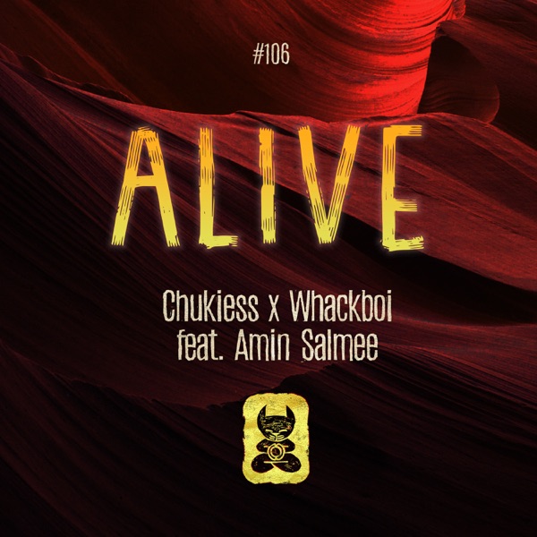 Alive (feat. Amin Salmee) - Single