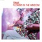 Flowers In The Window - Single