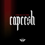 Capeesh (feat. DJ Thoro) - Single