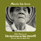 Maestro Toño Garcia (Cerrero Dub de Gaita Mix) artwork