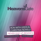 Never Give Up (Rene Ablaze Remix) artwork