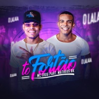 To Fortão (feat. Dj Matheus BK) - Single - MC Frog