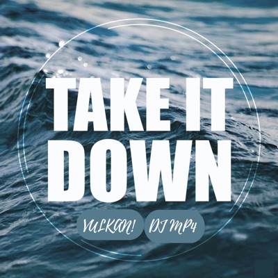 Take It Down - Single