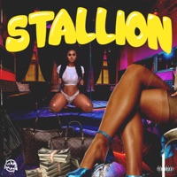 Stallion - Single - MMM Boogie