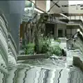Synthetic Palm Trees