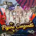 El Pájaro Cenzontle