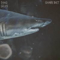 Shark Bait (feat. E66s) - Single - Selke