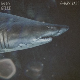 Shark Bait (feat. E66s) Selke