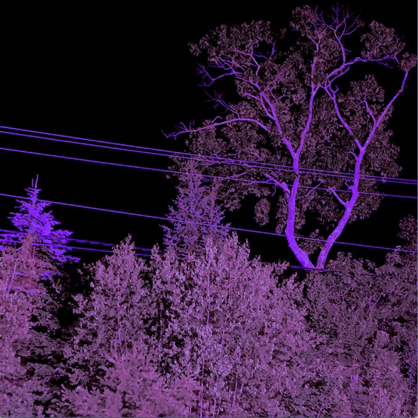 9 I N E