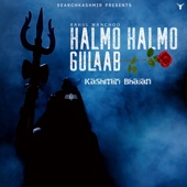 Halmo Halmo Gulaab Kashmiri Bhajan artwork