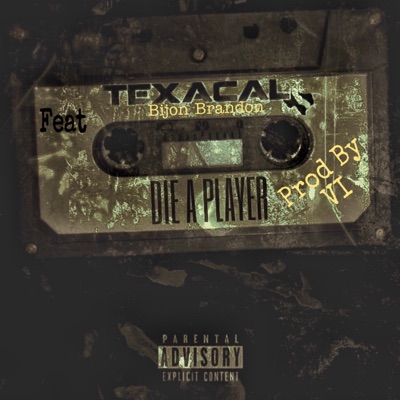 Die a Player - Single