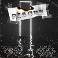 Reborn (feat. Nimda) - Single - Skratch Therapy