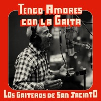 Tengo amores con la gaita - Single - Los Gaiteros de San Jacinto