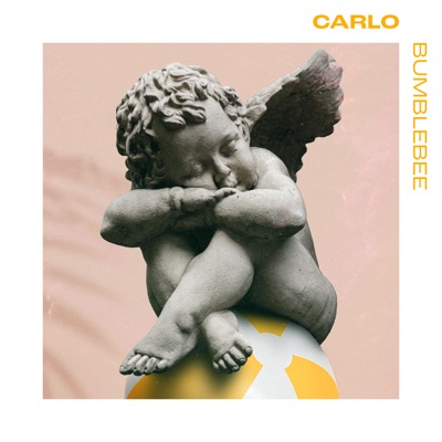 Bumblebee - Single