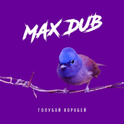 Max Dubs