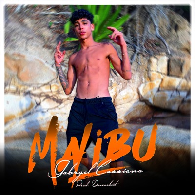 Malibu - Single