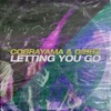 Letting You Go - Single