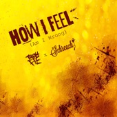 How I Feel (Am I Wrong) [feat. Dj Schreach] artwork