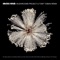 Space Mushrooms (Toby Tobias Porcini Remix) - Mushrooms Project lyrics