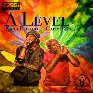 A Level (feat. Gappy Ranks) [Remix] - Single