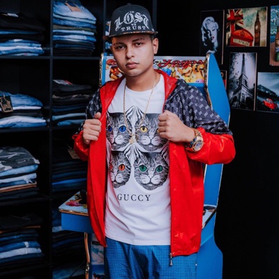 Princesa do Cabelo Flutuante (feat. Mc Djavas, Mc Nenê, Mc Kisk, Dj Tg da Inestan, Dj Jr Oficial & Dj Vitin do Pc) - Single