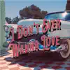 I Don't Ever Wanna Love