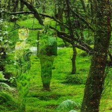 Electric Dreams - Walking in the Pathless Woods