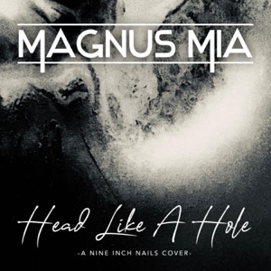 Head Like a Hole - Single