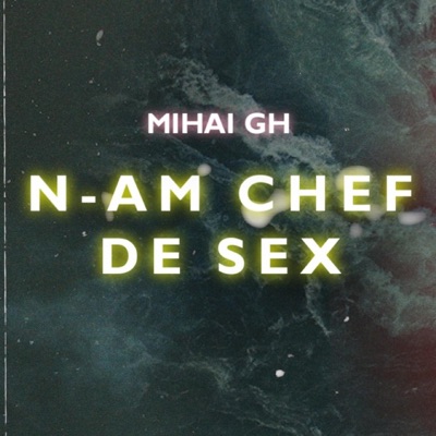 N-am Chef de Sex - Single