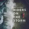 Riders on the Storm (Ronan Remix)