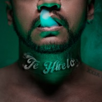 Te Huelo - Single - Manu Br