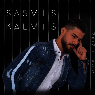 Şaşmış Kalmış - Single