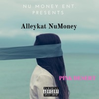 Pink Desert - EP - Alleykat Numoney