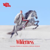 Wilderness (feat. Phoelix, Jordan Dennis & EMRSN) artwork