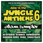 Deep In the Jungle Anthems 6 - Album Sampler - EP artwork