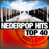 Nederpop Hits Top 40, 2013