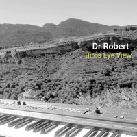Birds Eye View (feat. Dr Robert) - Single - Monks Road Social