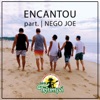 Encantou (feat. Nego Joe) - Single