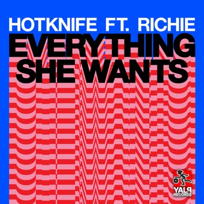 Everything She Wants (feat. Richie) - Single