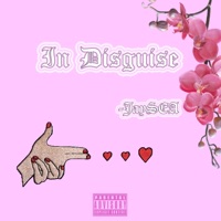 In Disguise - Single - JaySEA