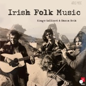 Irish Folk Music artwork