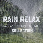 Rain and Thunder Sounds Collection artwork