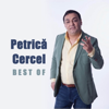 Daca Ploua Nu Ma Ploua - Petrica Cercel
