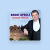 Bedri Ayseli