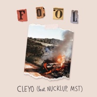 Fool (feat. Nucklup & MST) - Single - Cleyo