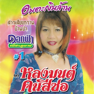ดอกฟ้า เพชรภูพาน - ปีใหม่ใจสลาย